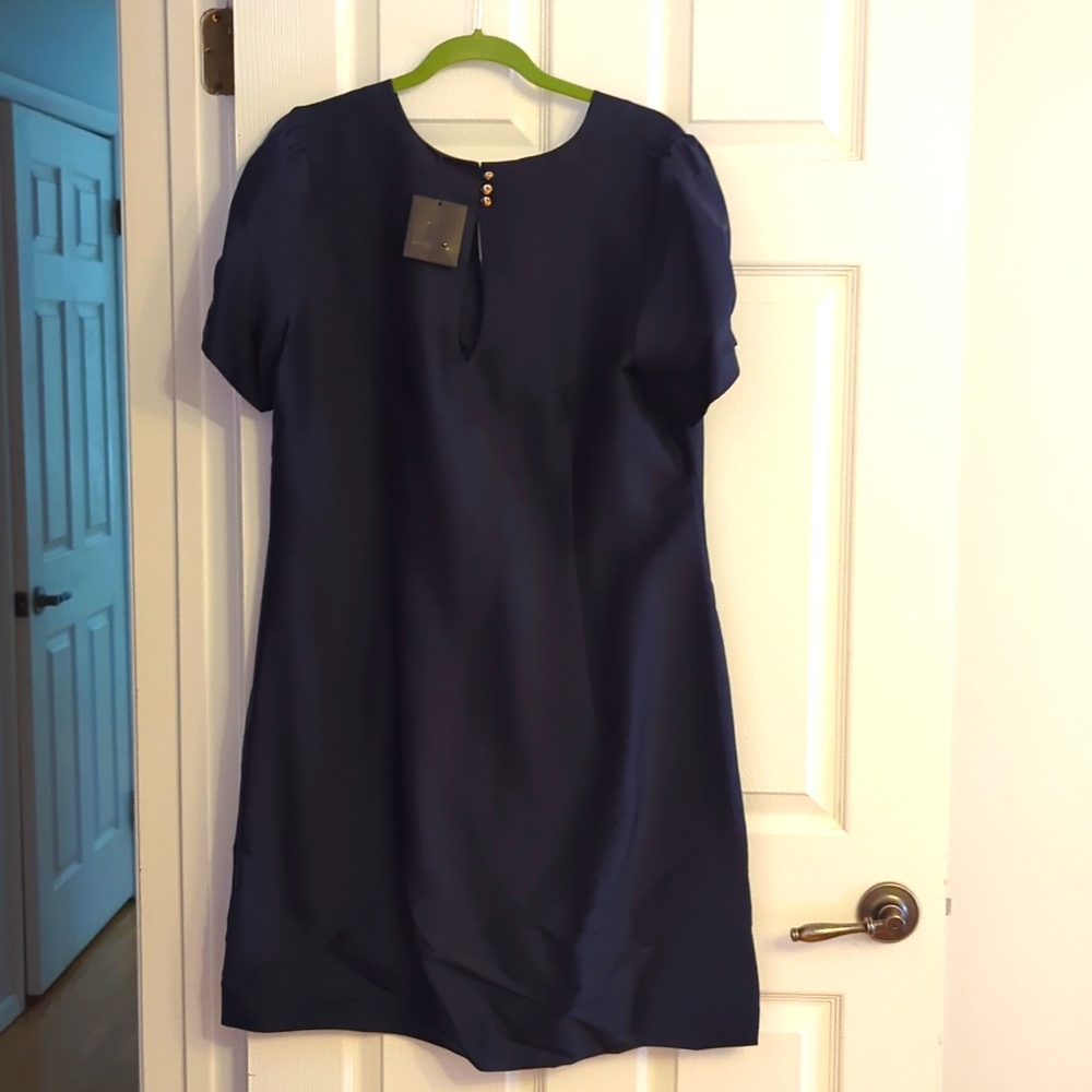 BR Silk Dress, 16